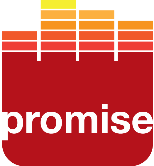 Promise